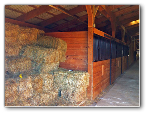 Boarding Stall